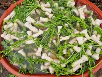 알타리김치 맛있게 담는법에 대한 김치비법_5