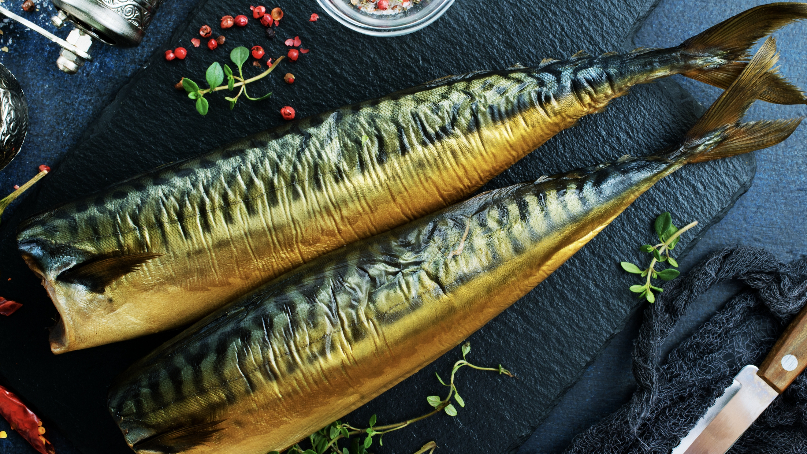 등 푸른 생선 (고등어, 연어, 참치)