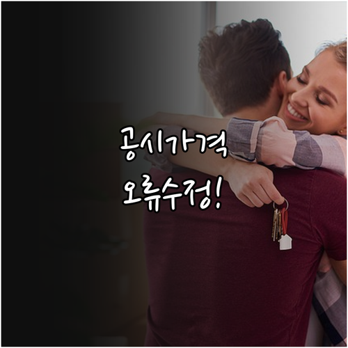 공시가격 의견제출 및 이의신청 통한 ..