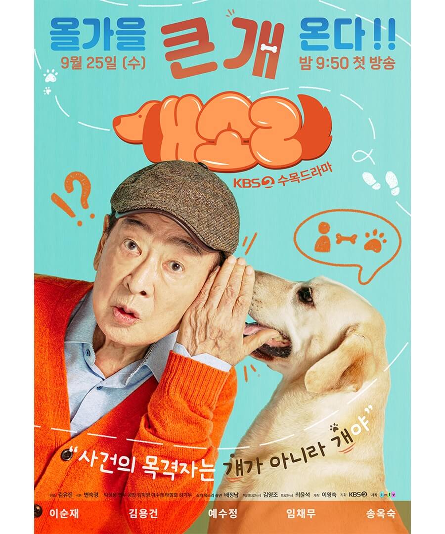 드라마 개소리