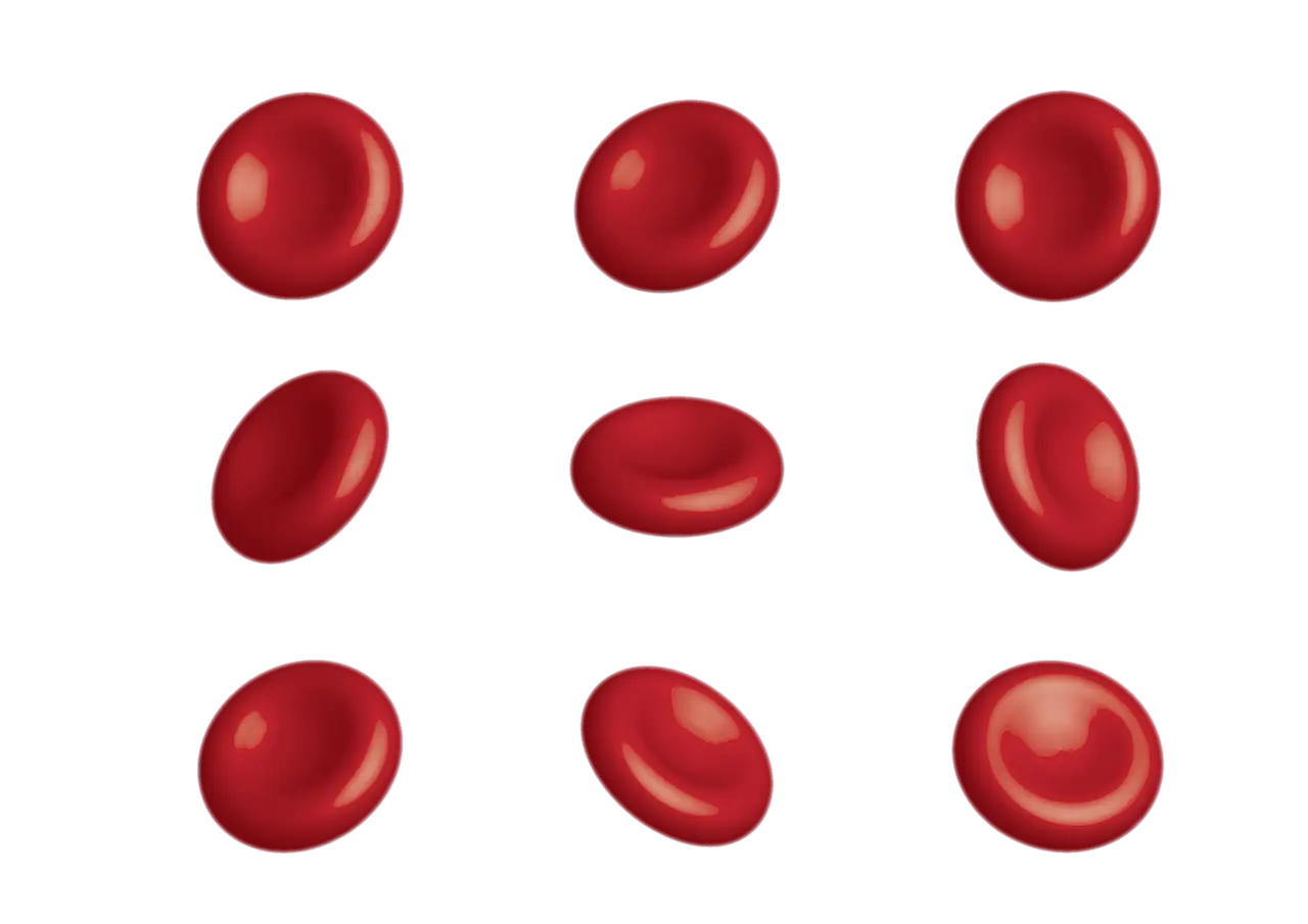 전해질 불균형 영양제