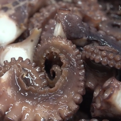 즐거운 여행을 위한 도시락을 만든 오래된 기업