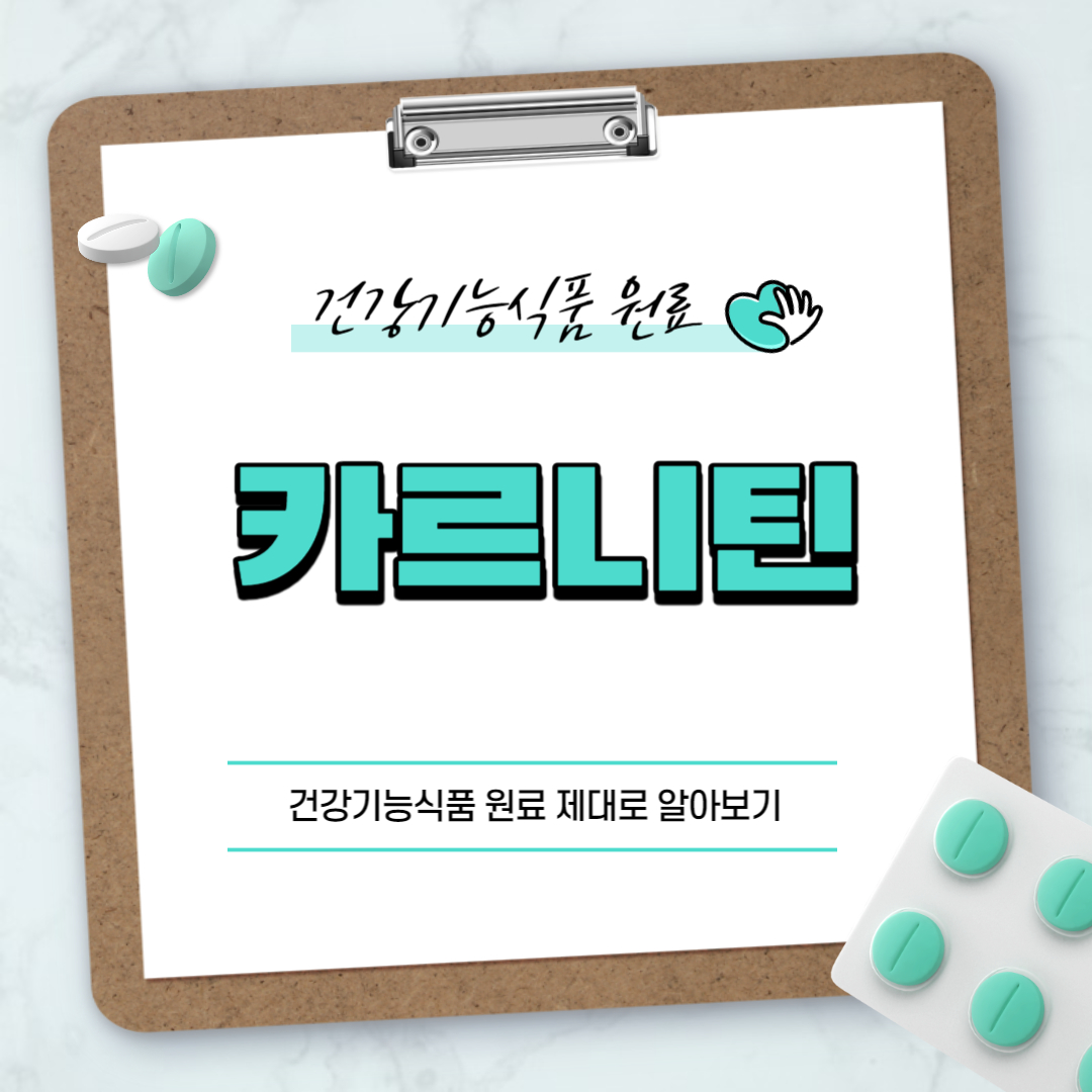 카르니틴