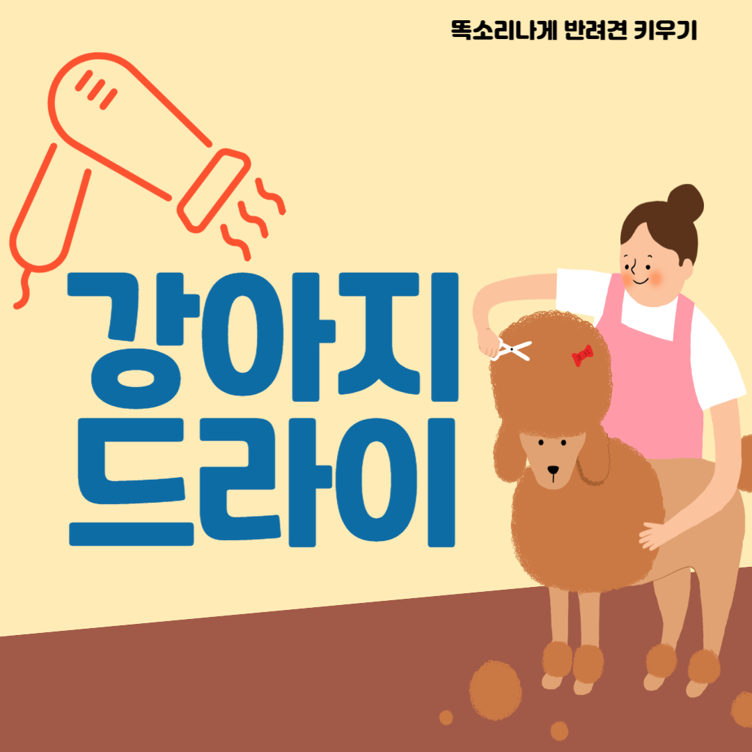 강아지 드라이 털 건조 털 말리기