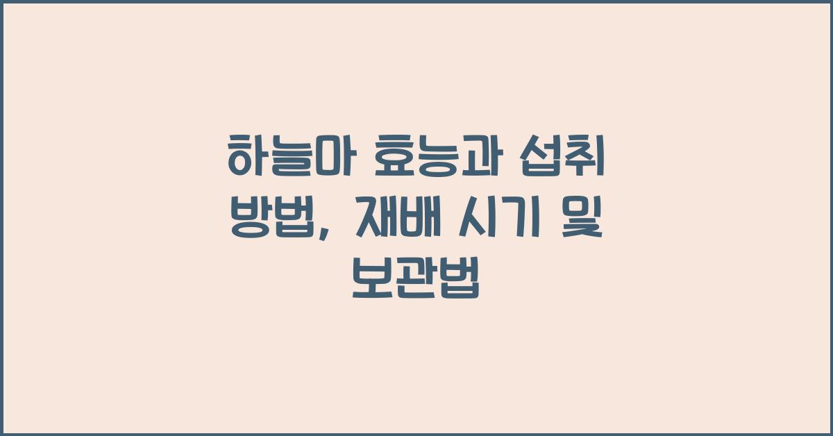 하늘마 효능