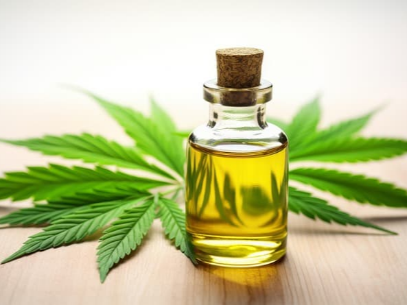 올리브유 동맥경화 예방