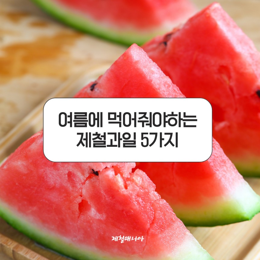 여름과일