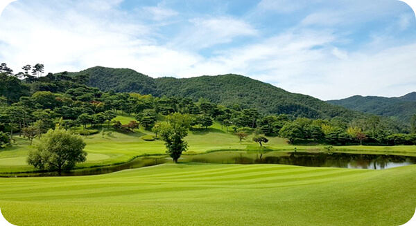 천룡cc전경3