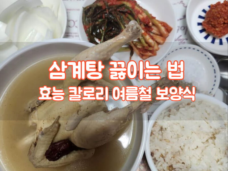 삼계탕 끓이는 법 효능 칼로리 여름철 보양식