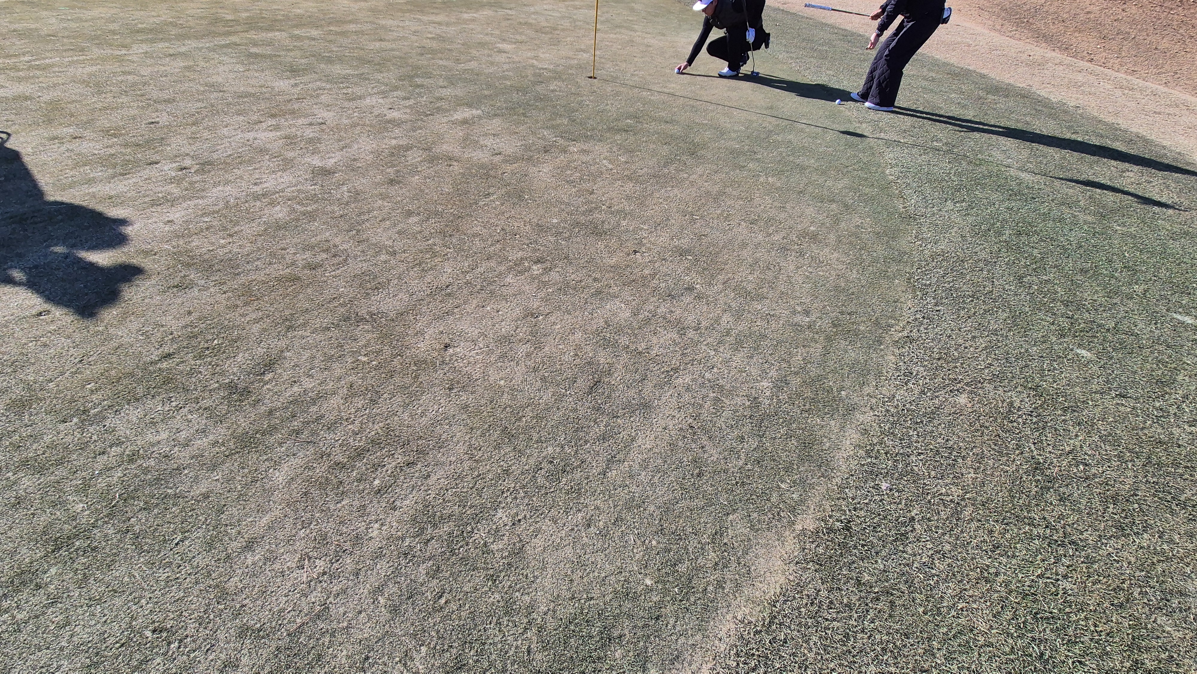 더크로스비gc 아리아-샬롯 코스 그린관리상태