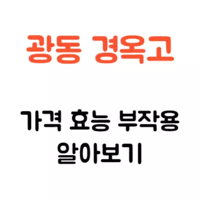 광동 경옥고 가격 효능 부작용 알고 드세요