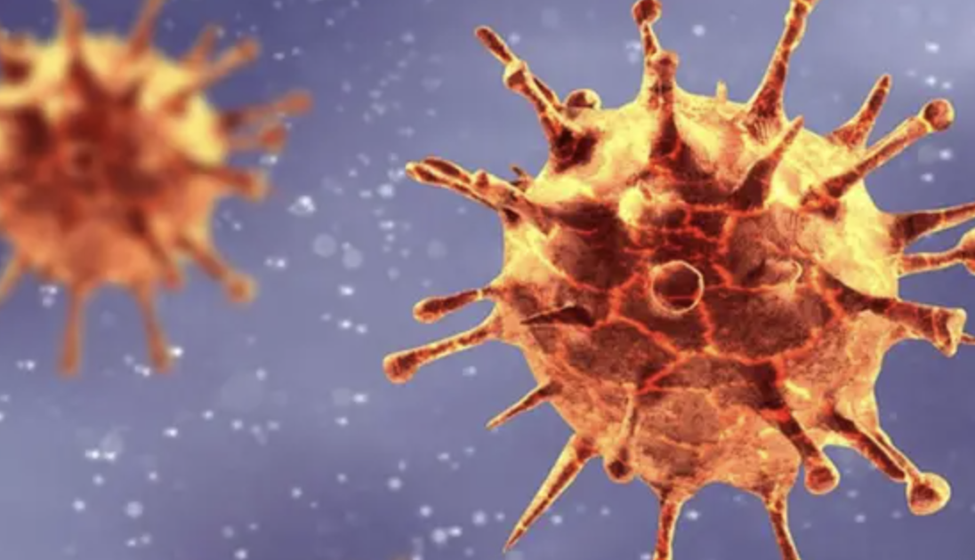 2024 코로나 재유행 백신 접종 일정&amp;#44; 대상&amp;#44; 종류와 제조사