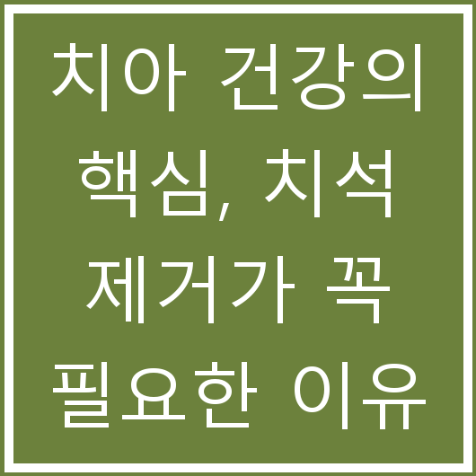 치아 건강의 핵심, 치석 제거가 꼭 필요한 이유