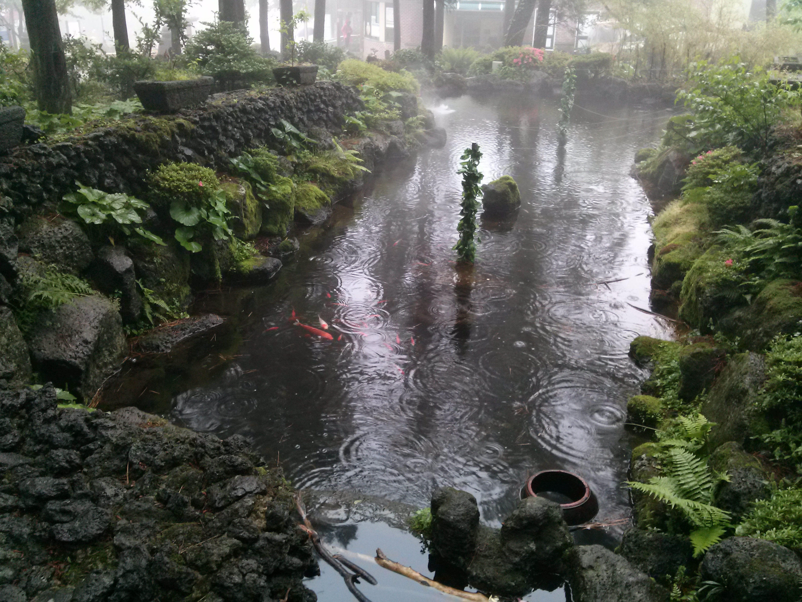 절물자연휴양림(Jeju Jeolmul Recreational Forest)