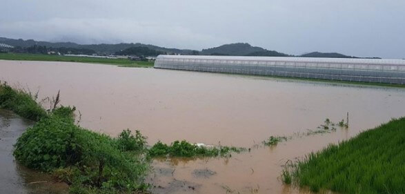 집중호우 재해지원금 신청