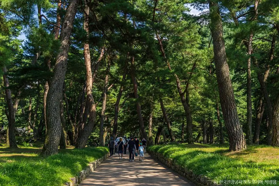 96517fe9-19a8-4bbd-9f9b-88adb295b8c2