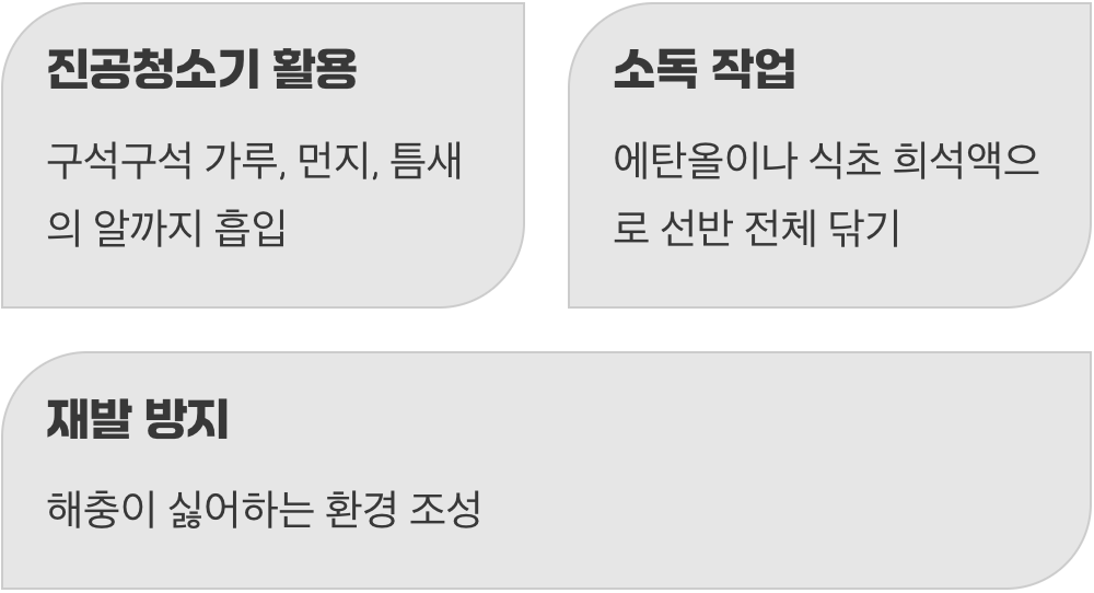 흔적을 지우는 완벽한 대청소