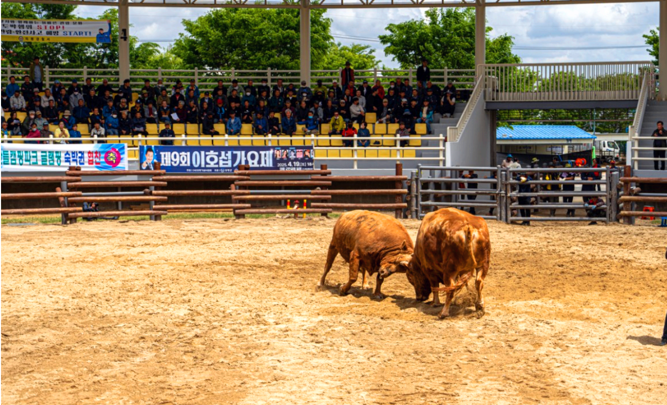 의령 홍의장군 축제