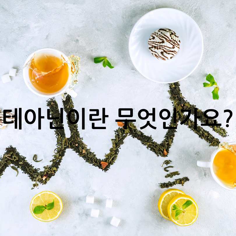 테아닌 효능과 부작용 총정리