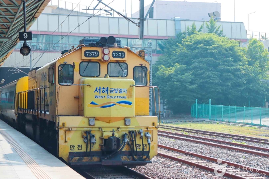 서해금빛열차 사진
