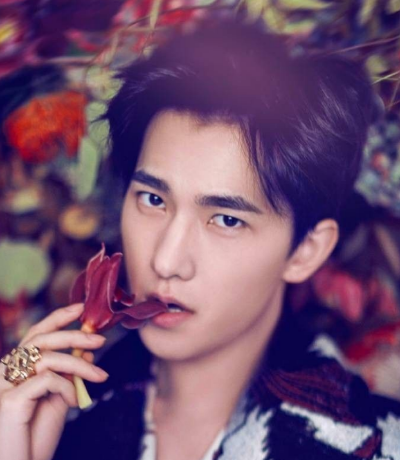 중국드라마(중드) 추천 &ndash; 양양(杨洋) 배우 대표작