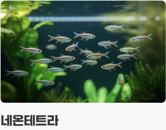 첫 식구를 맞이하는 시간