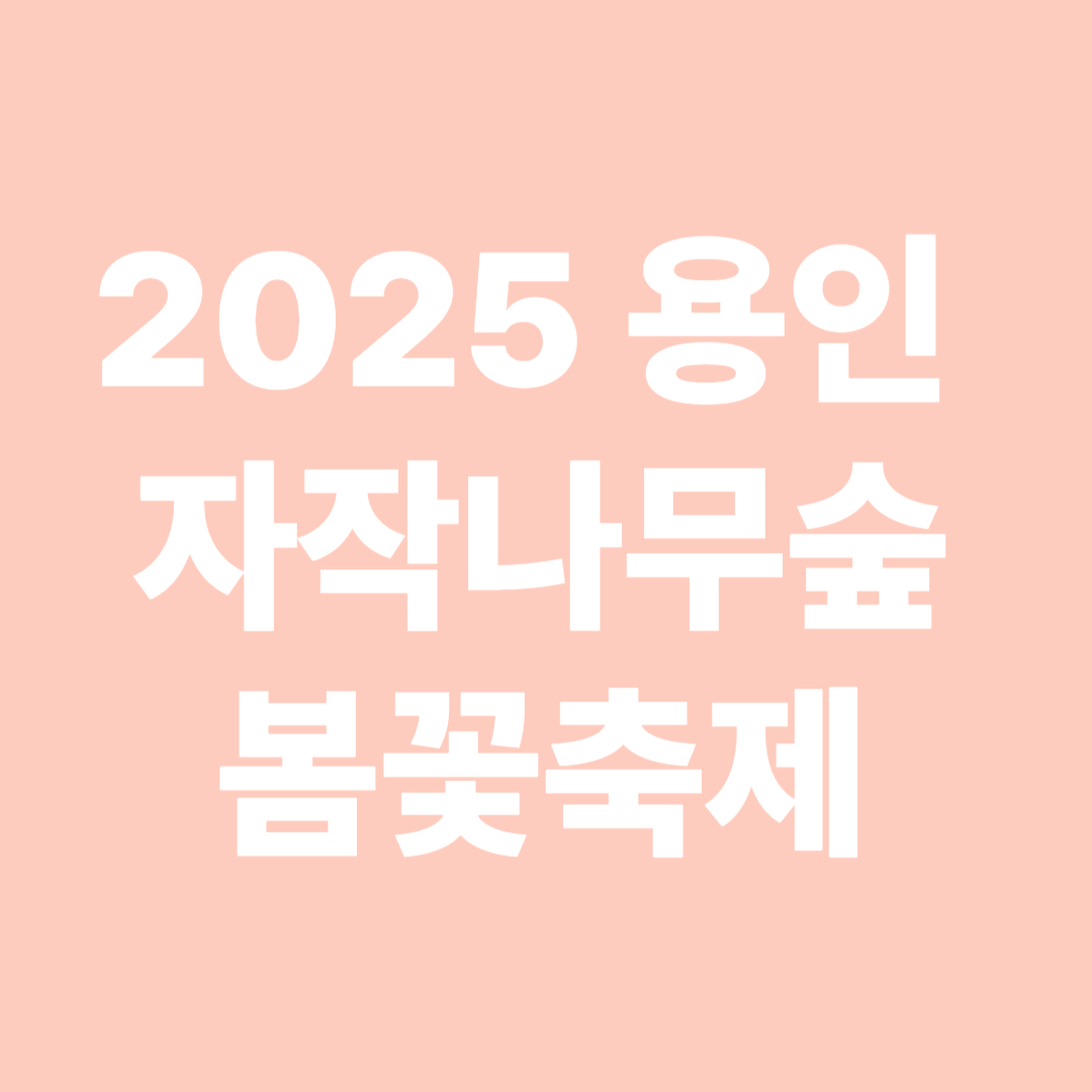 2025 용인 자작나무숲 봄꽃축제