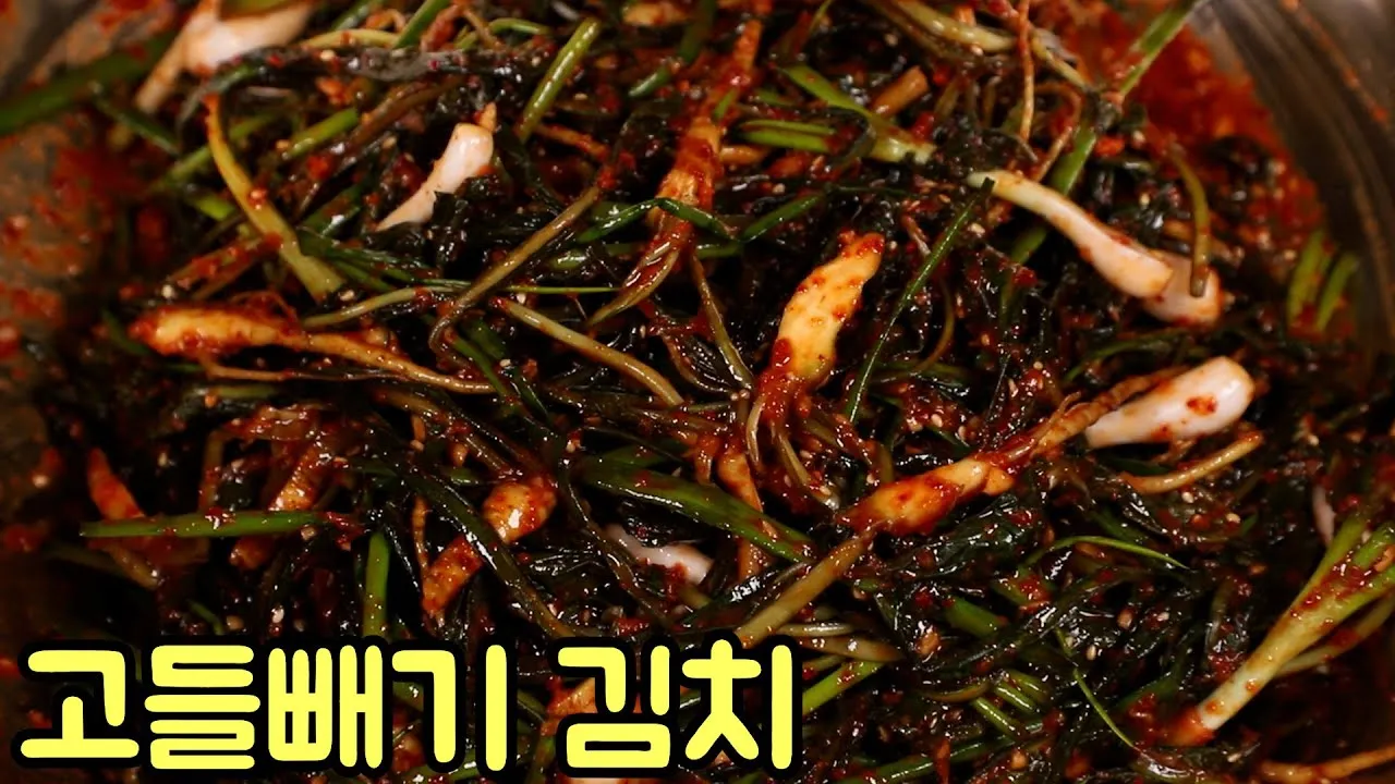 고들빼기 김치 맛나게 담는법 초보도 쉽게 따라하는 집밥 비법에 대한 절임비율_6