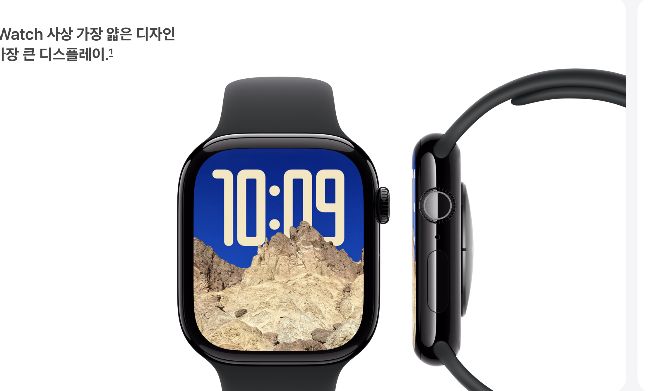 애플워치10