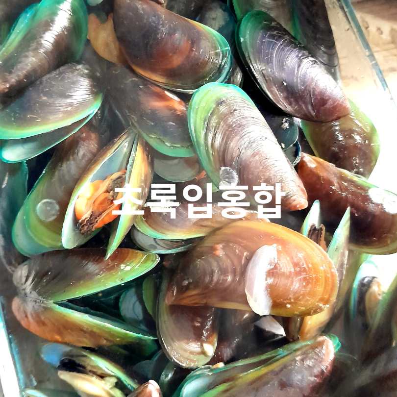 무릎관절에 좋은 영양제 TOP5