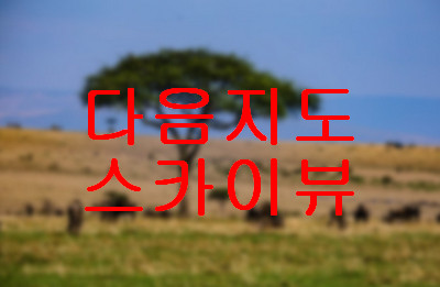 다음지도