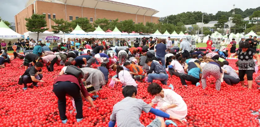 괴산고추축제