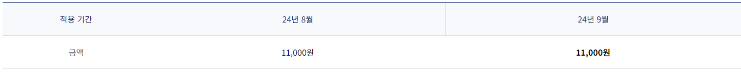2024년 9월 국내선 유류할증료