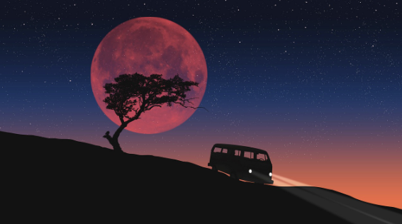 솔로 캠핑의 매력과 주의사항