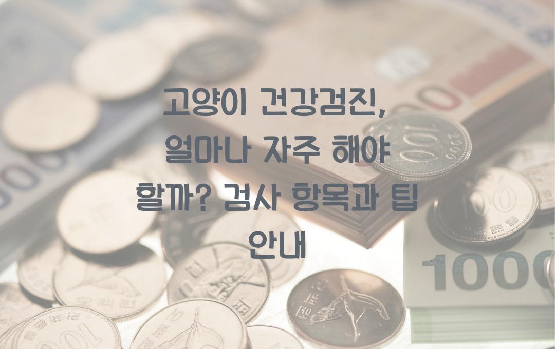 고양이 건강검진, 얼마나 자주 해야 할까?