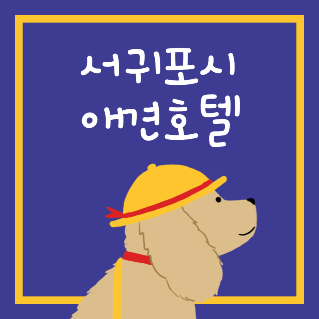 서귀포시 애견호텔