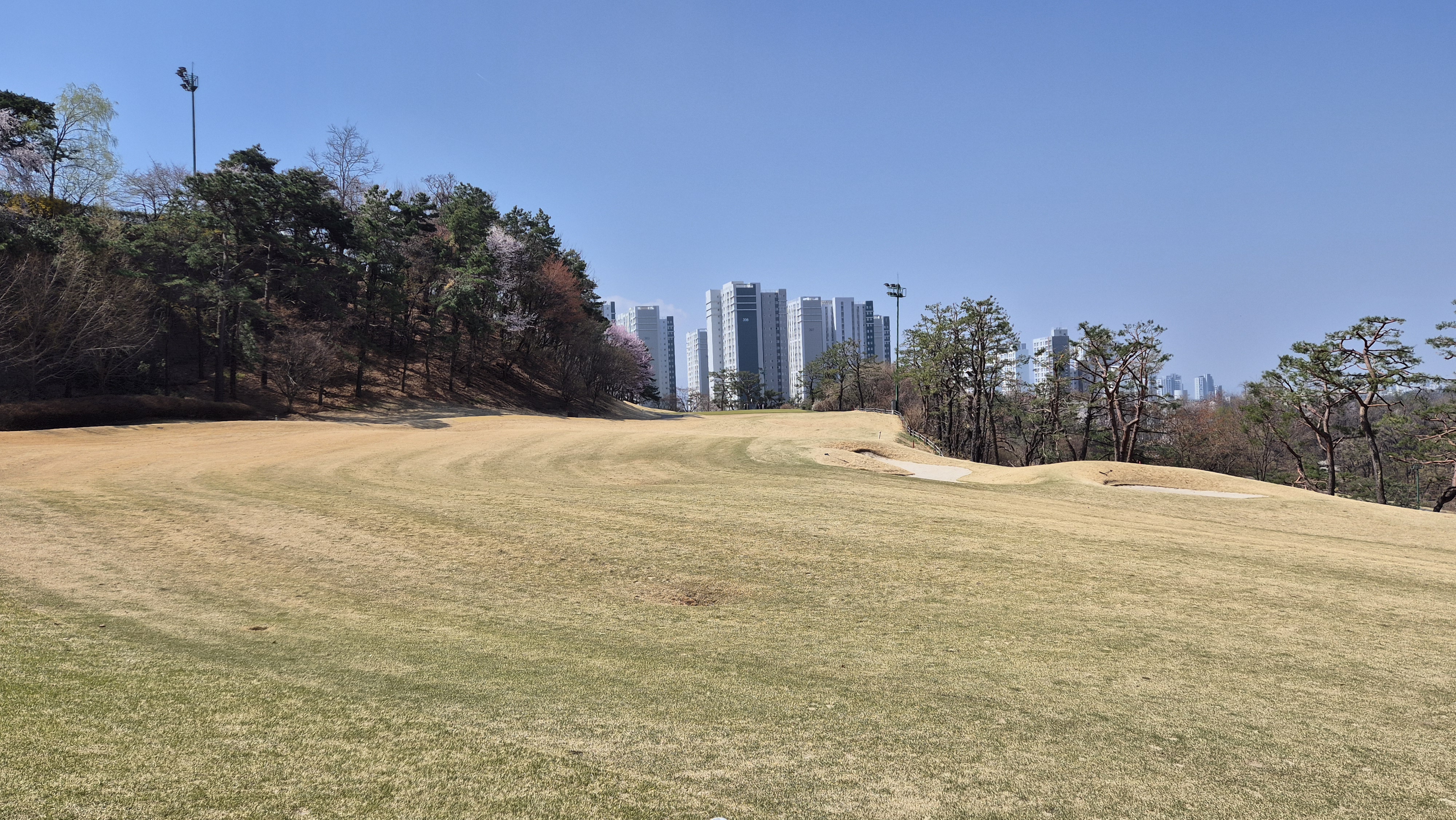 캐슬렉스cc
