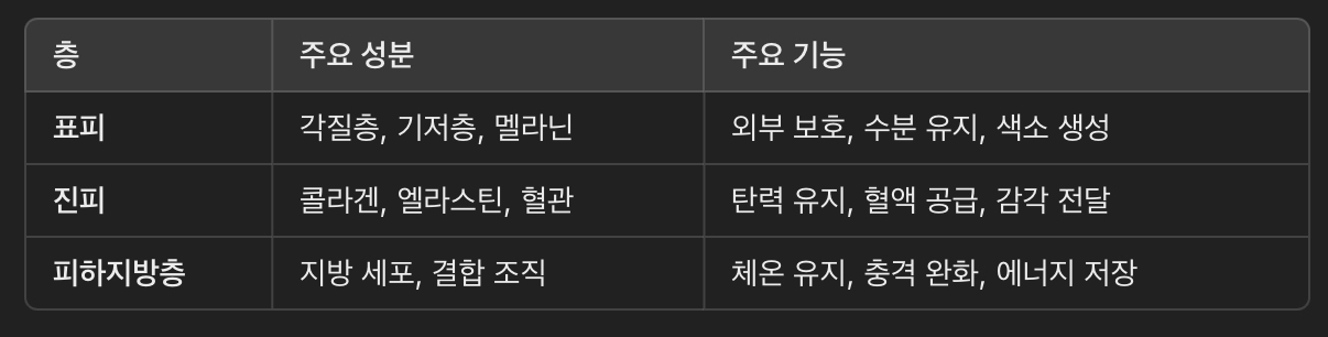 피부의 기능