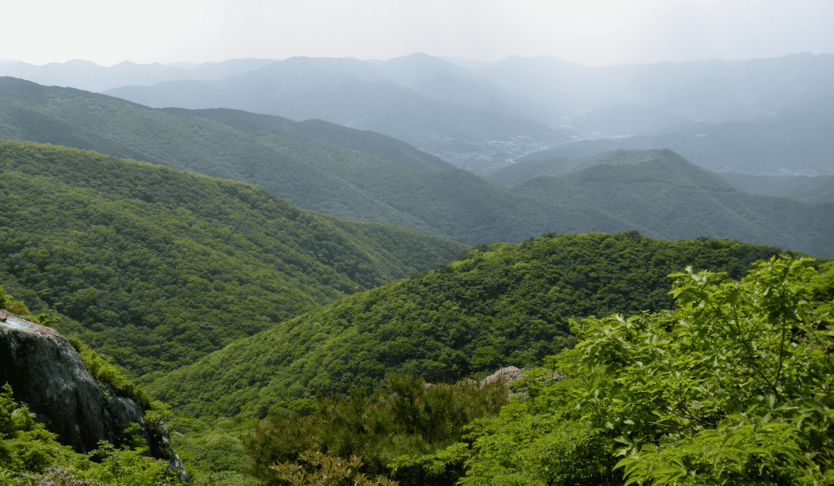 국