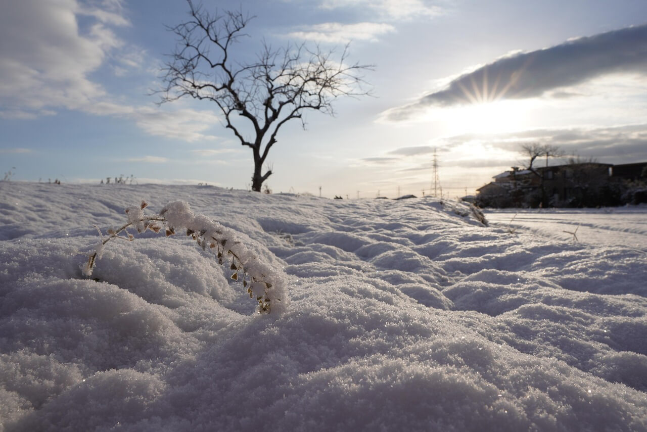 가평 청평 북한강 대성리 송어축제