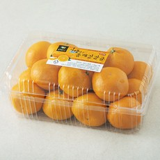 올레길감귤 해풍맞은 당도선별 감귤, 1.5kg(랜덤과), 1개
