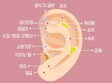 귀 혈자리 위치 지압법
