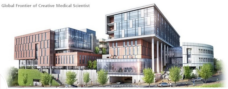 고려대 의대 관련 이미지