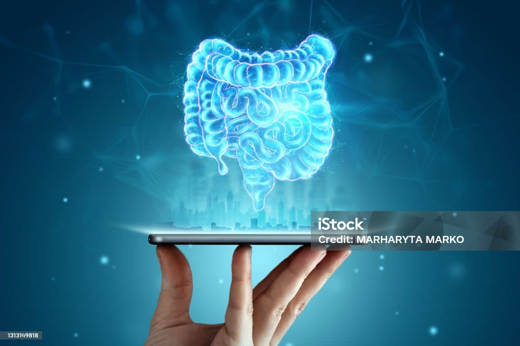 [대변으로 알아보는 장 상태] AI 분석으로 본 장 건강 신호와 미래