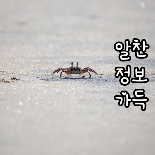 보성군 신혼부부 이사비 100만원 지..