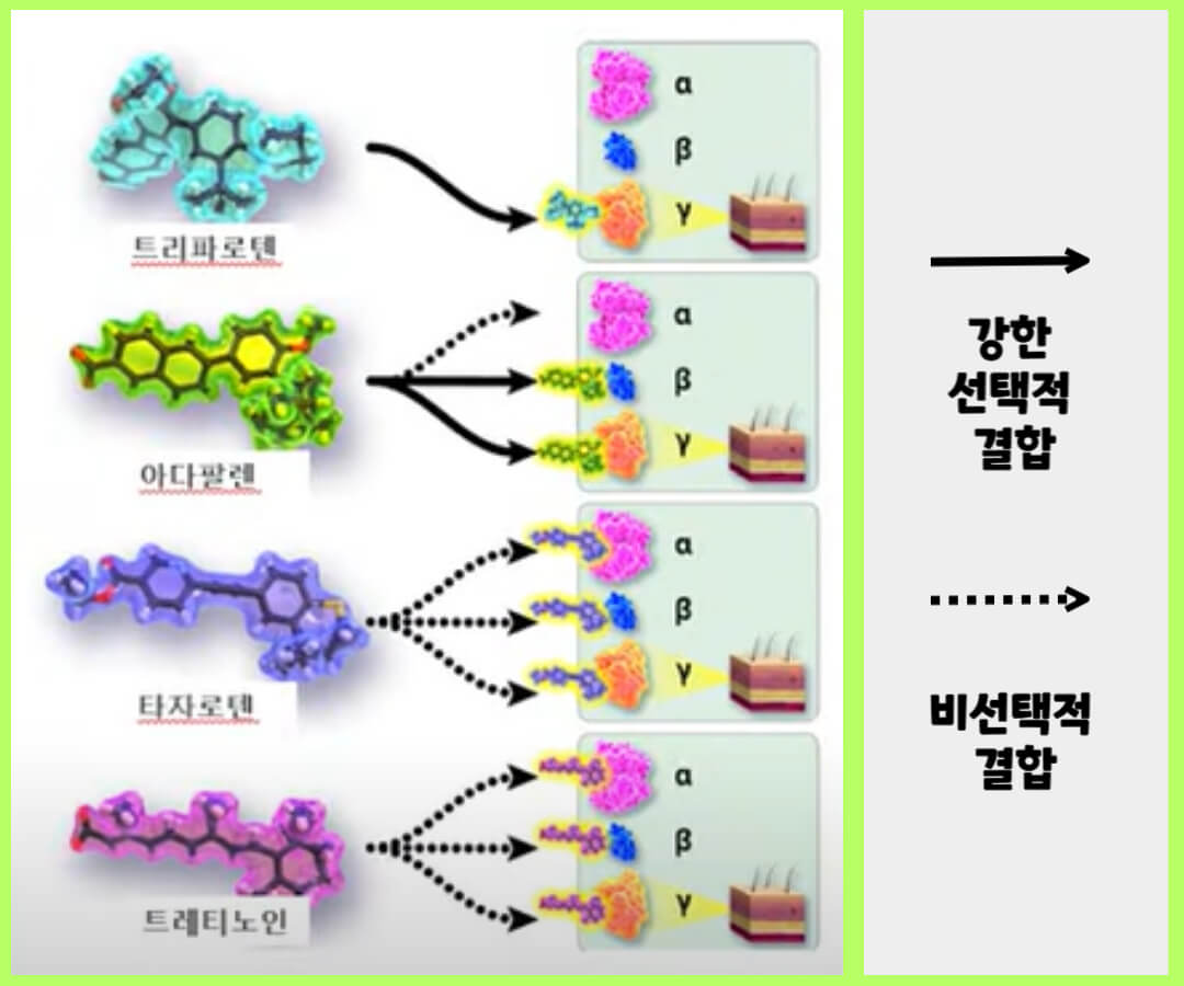 레티노이드제 약물
