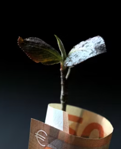 민생회복 지원금 신청방법