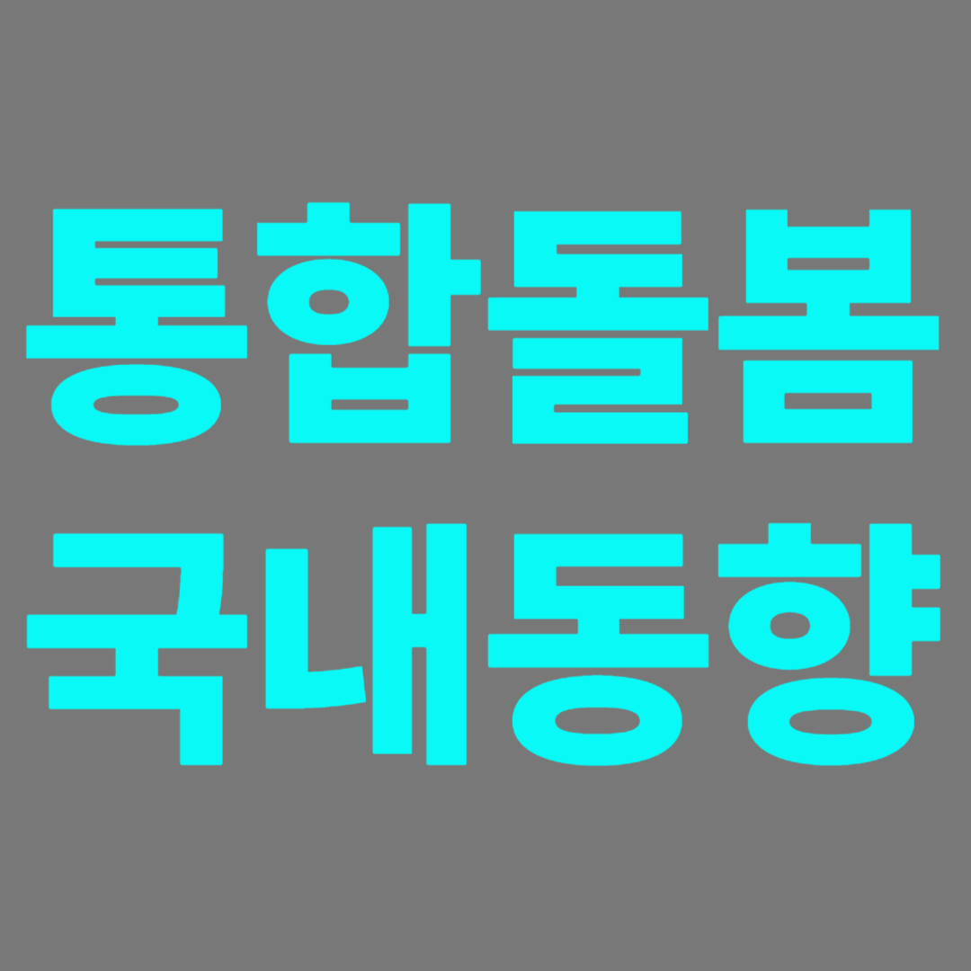 국내 통합돌봄서비스의 실태