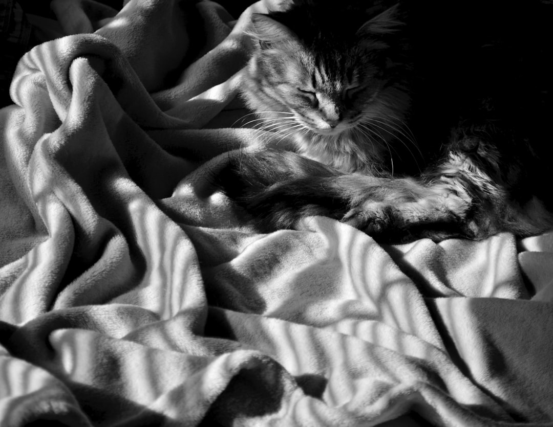 Underfloor.