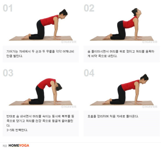 스트레칭 관련사진